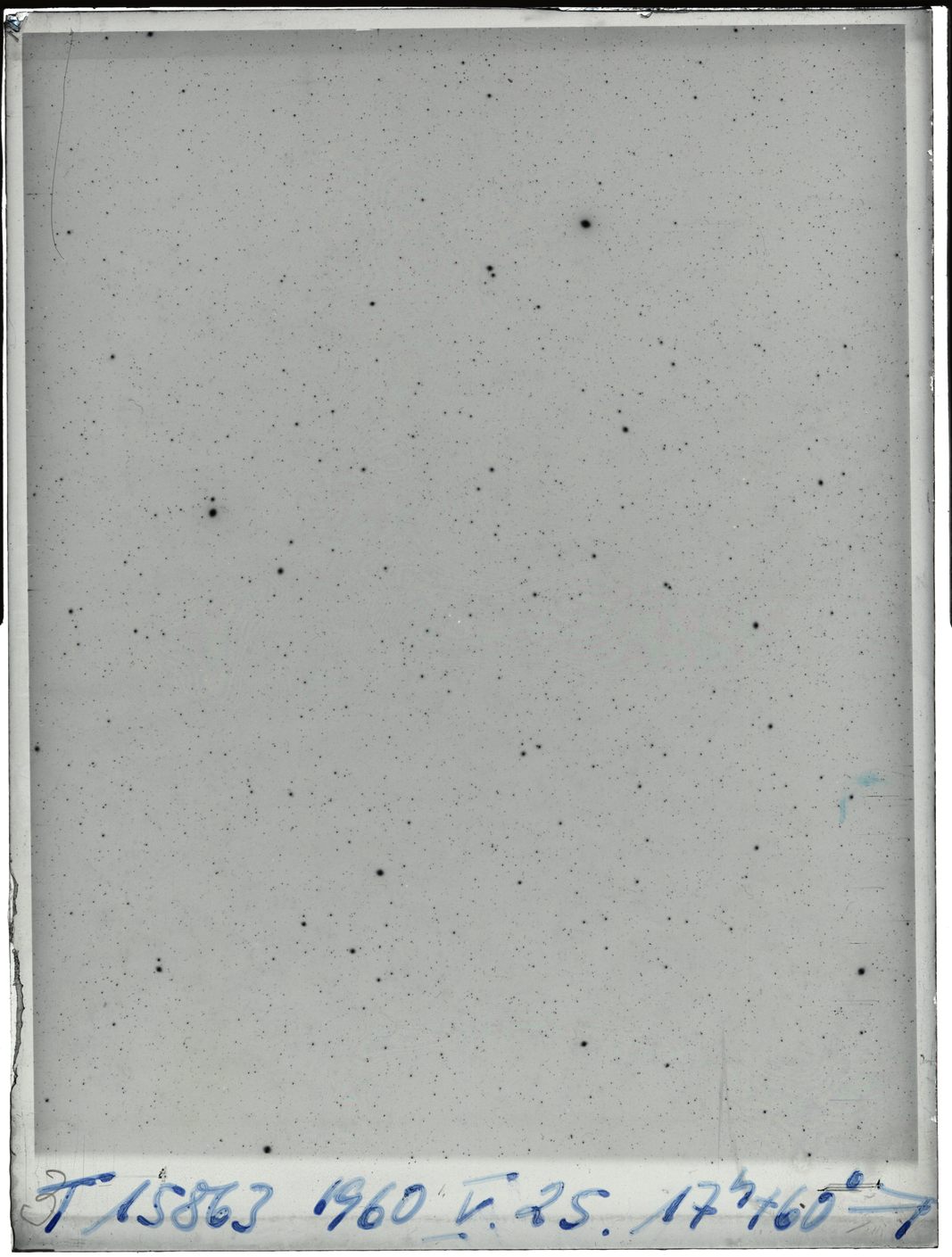 Plate preview