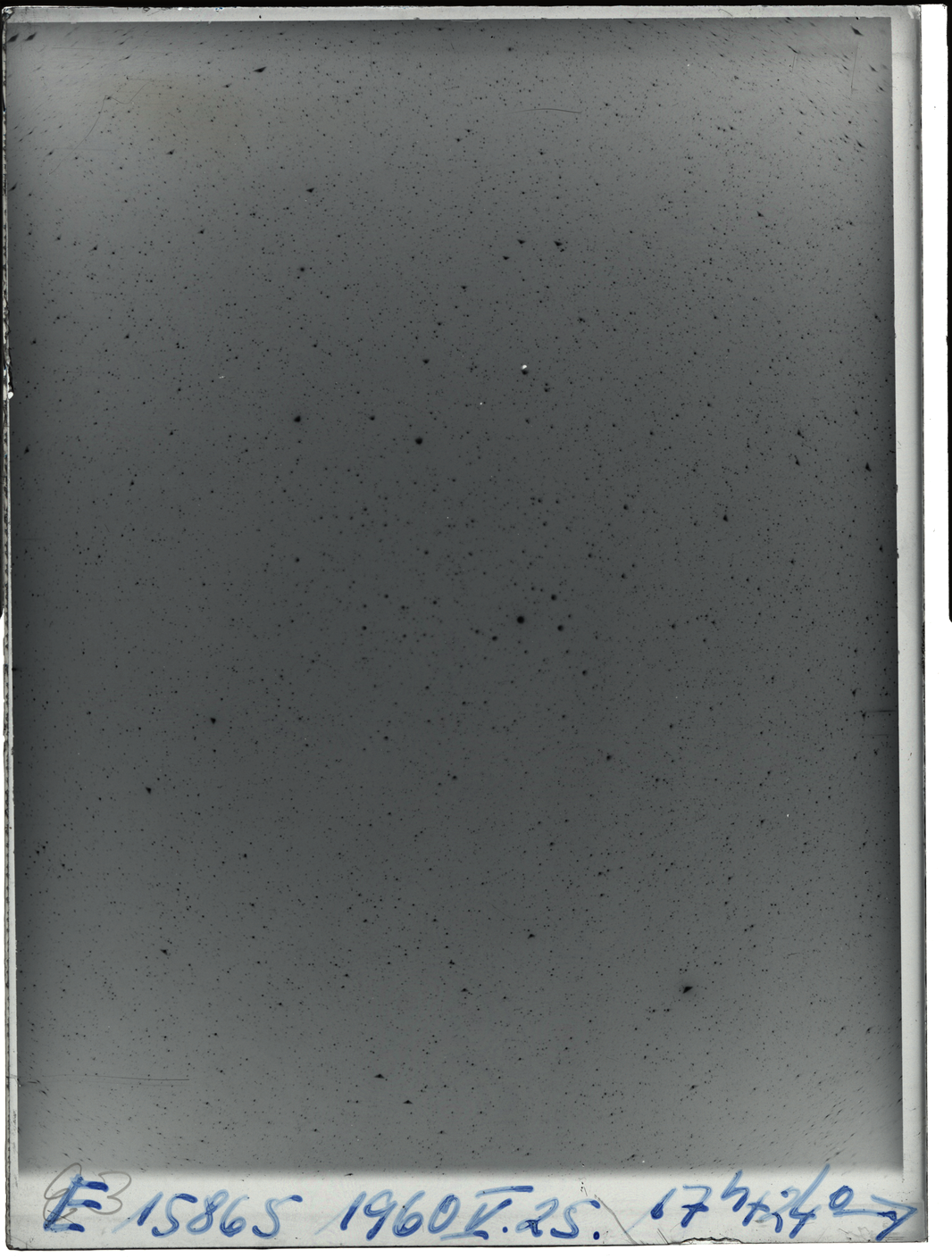 Plate preview
