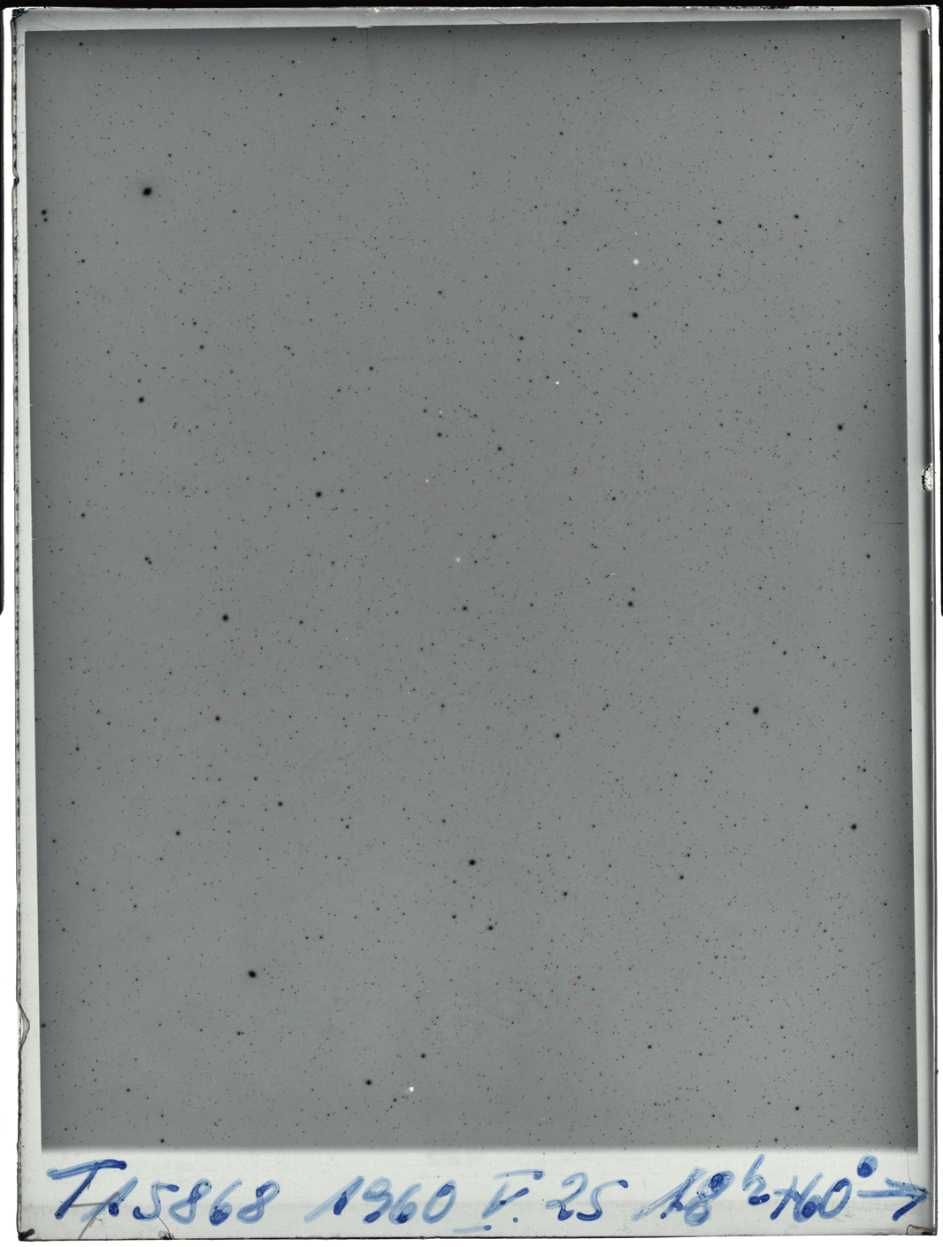 Plate preview