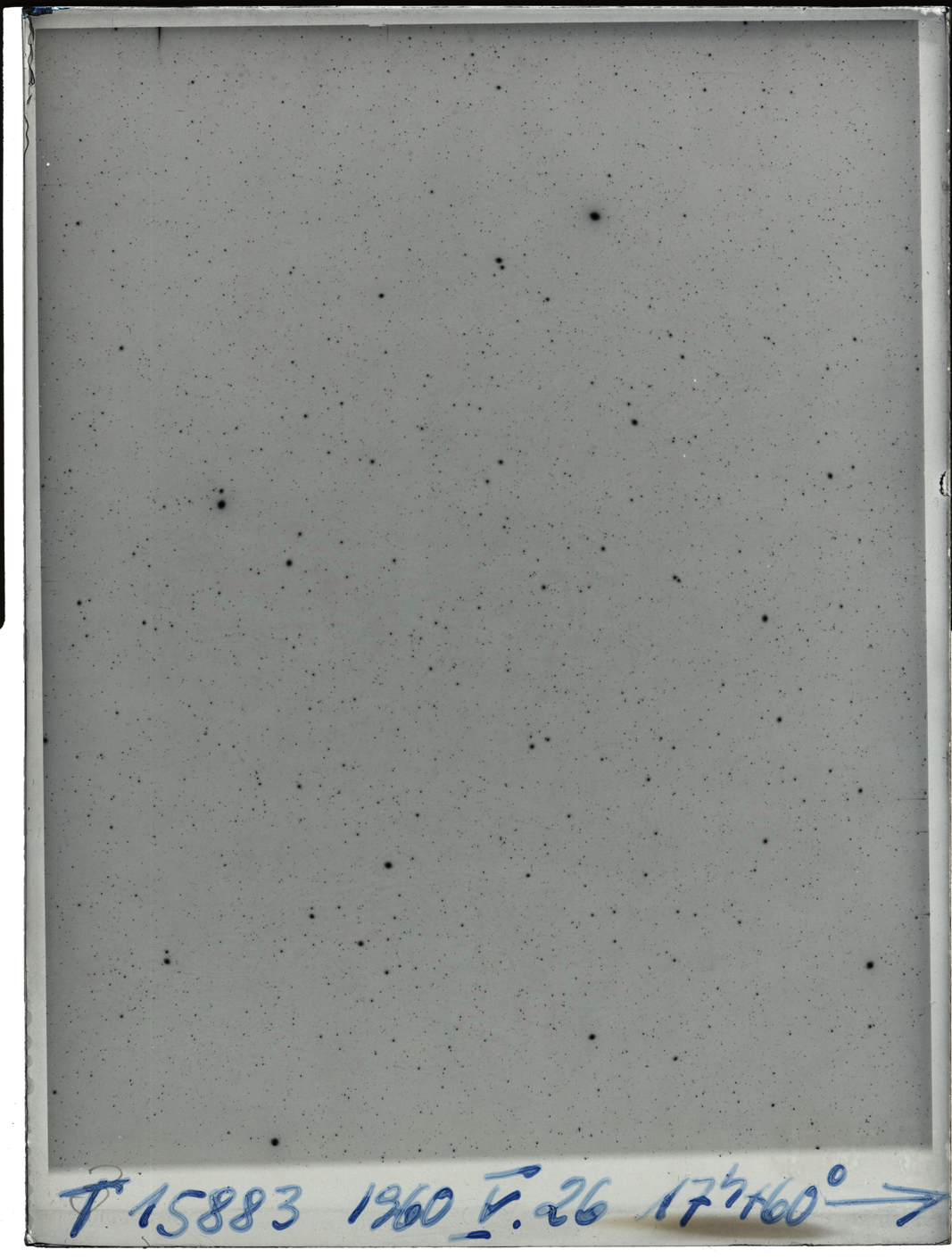 Plate preview