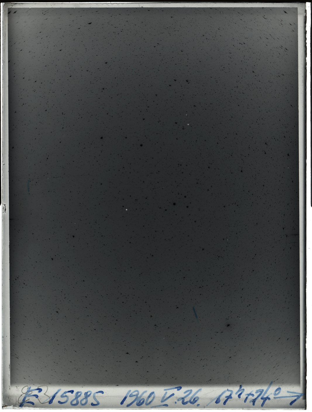 Plate preview