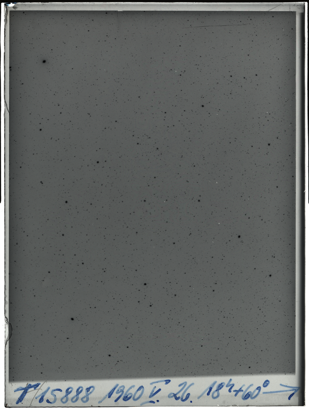 Plate preview