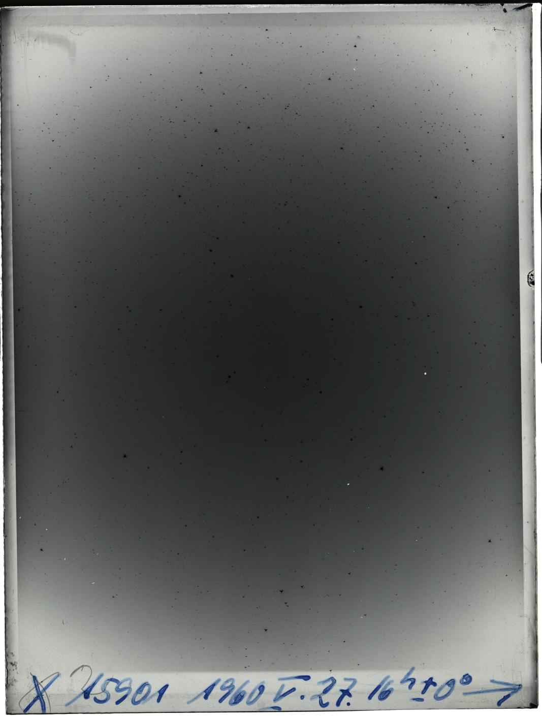 Plate preview