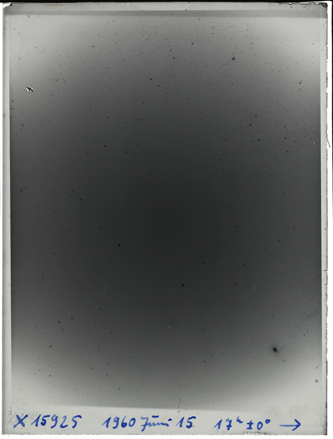 Plate preview