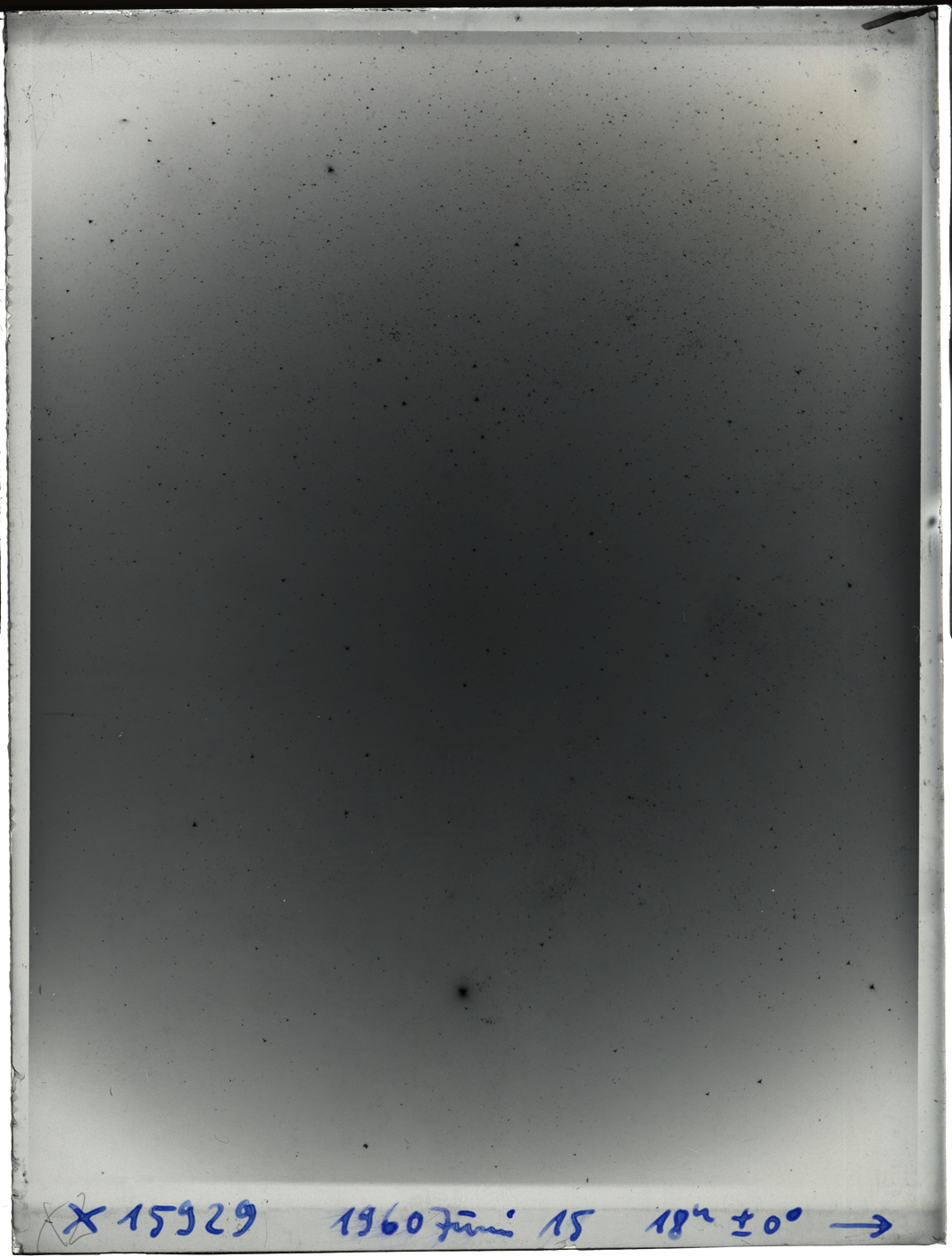 Plate preview