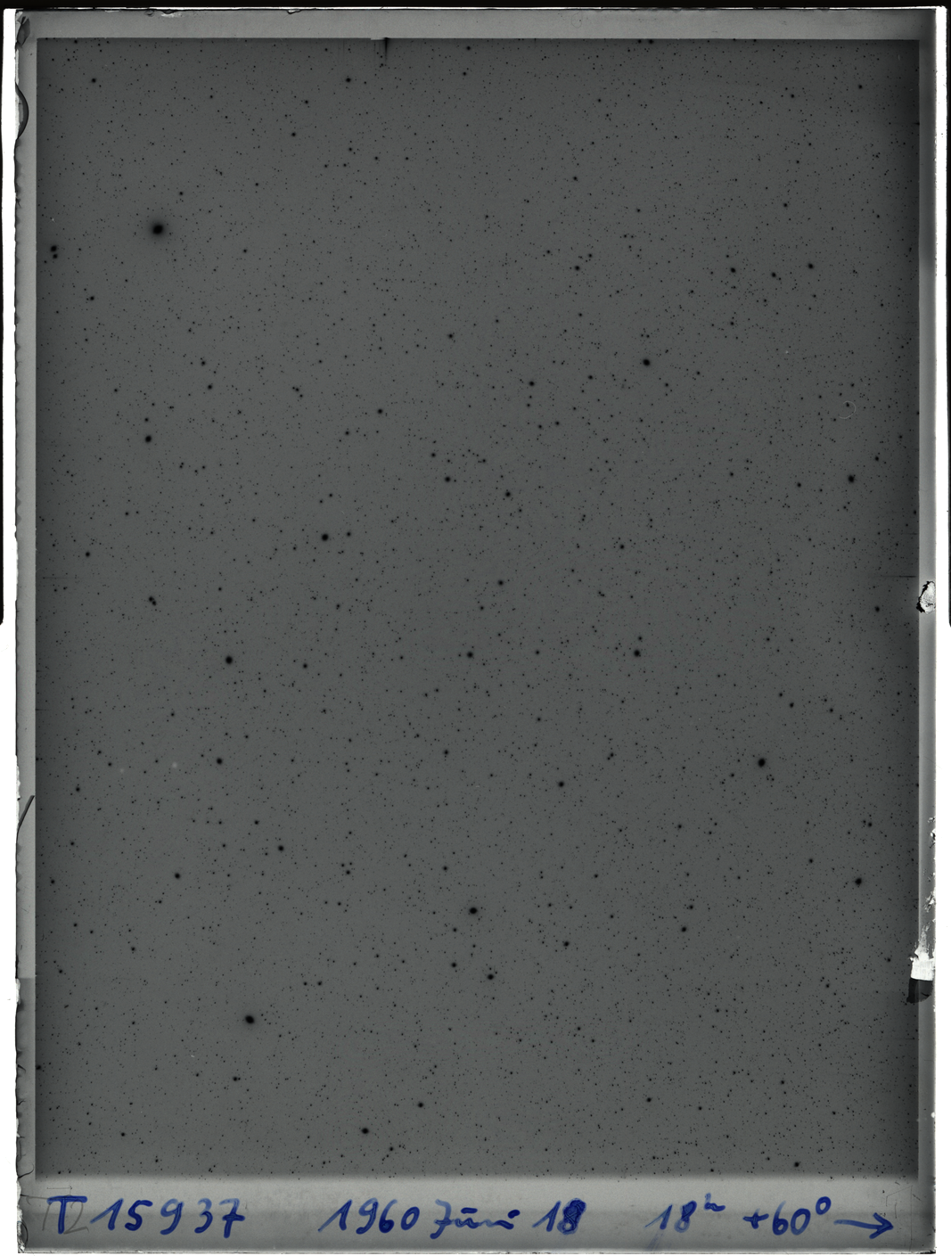 Plate preview