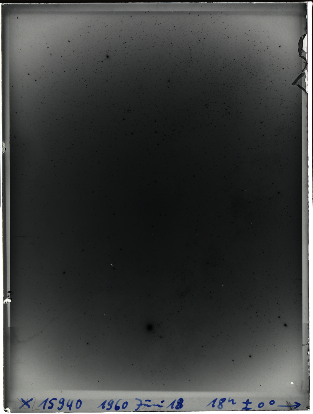 Plate preview
