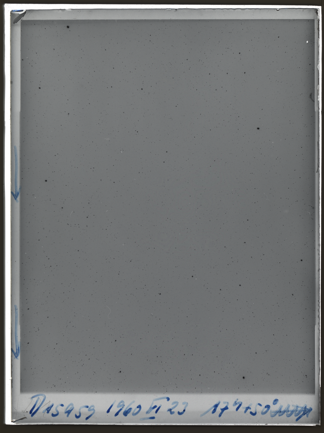 Plate preview