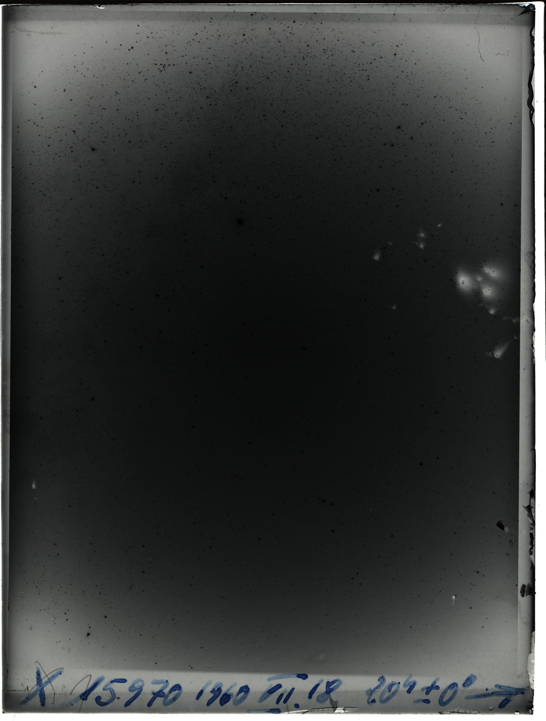 Plate preview