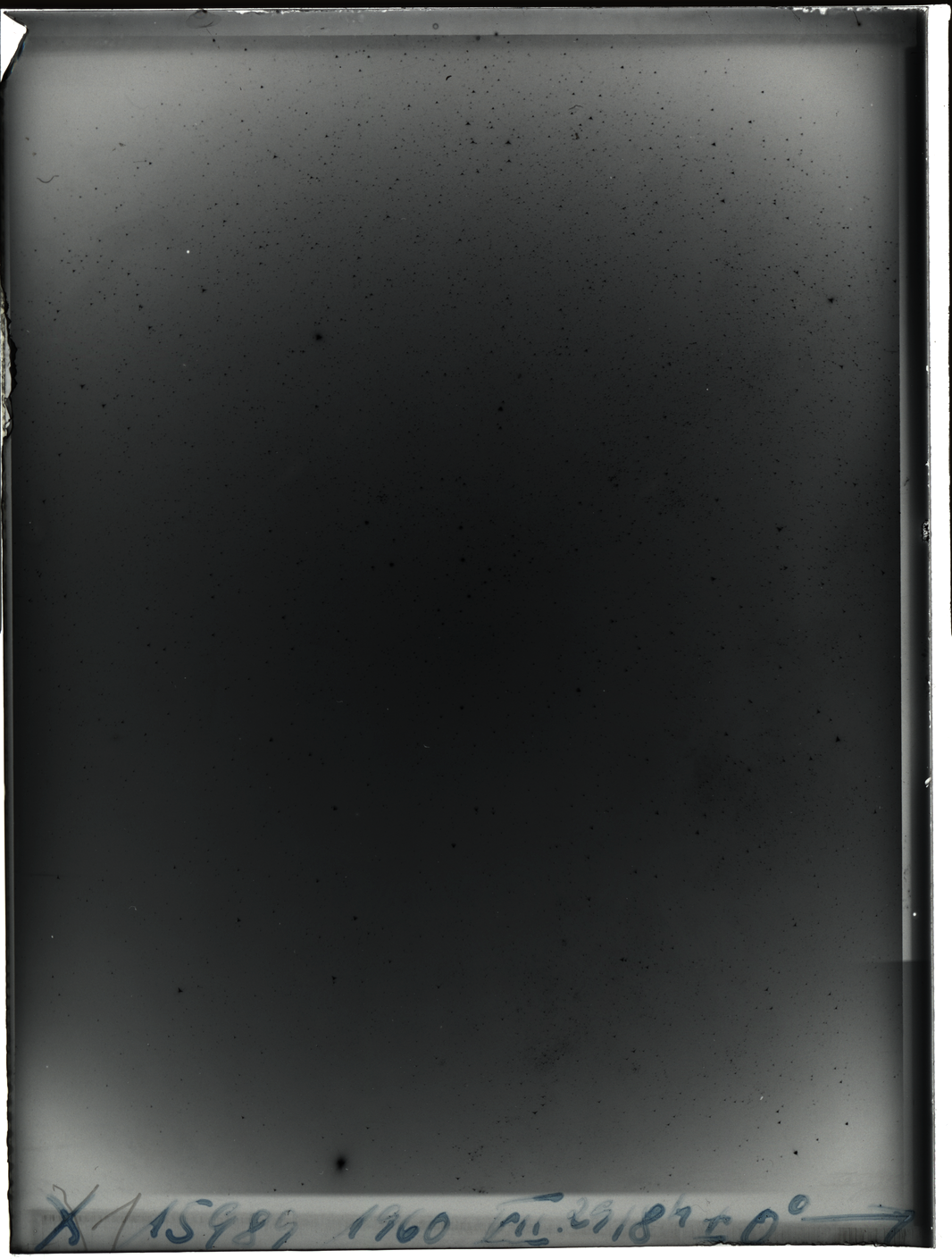 Plate preview