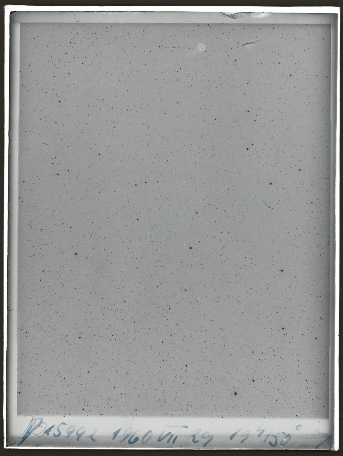 Plate preview