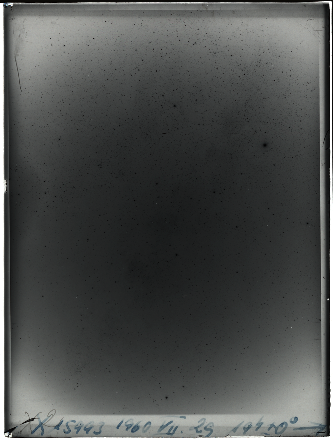 Plate preview