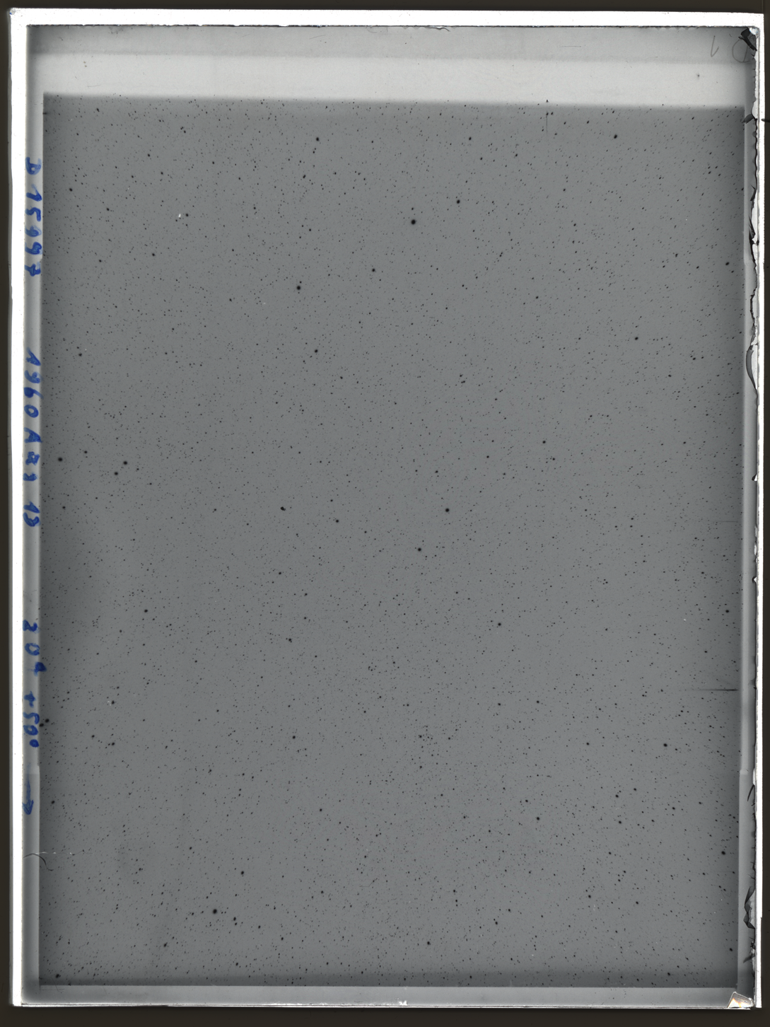 Plate preview