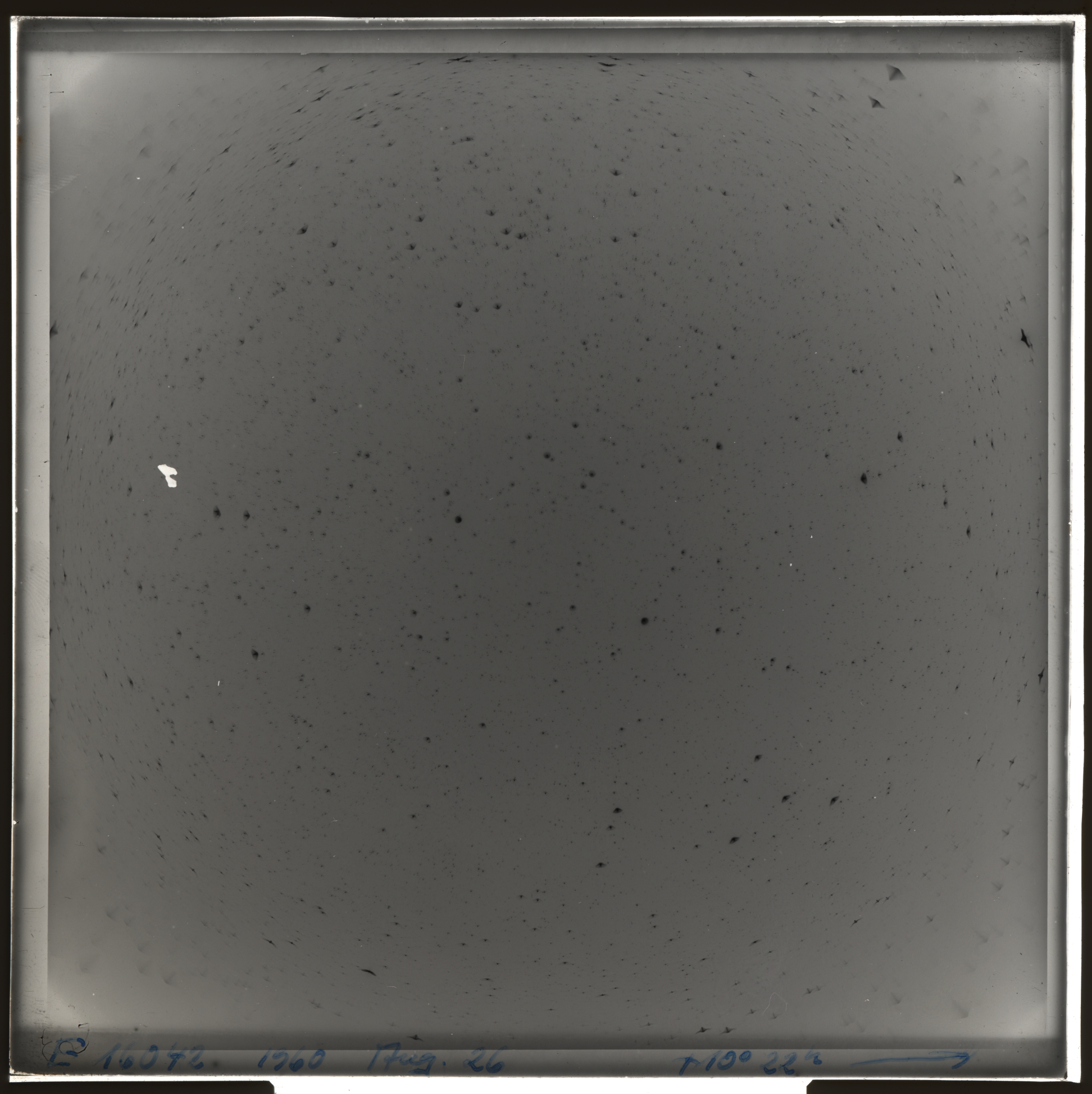 Plate preview