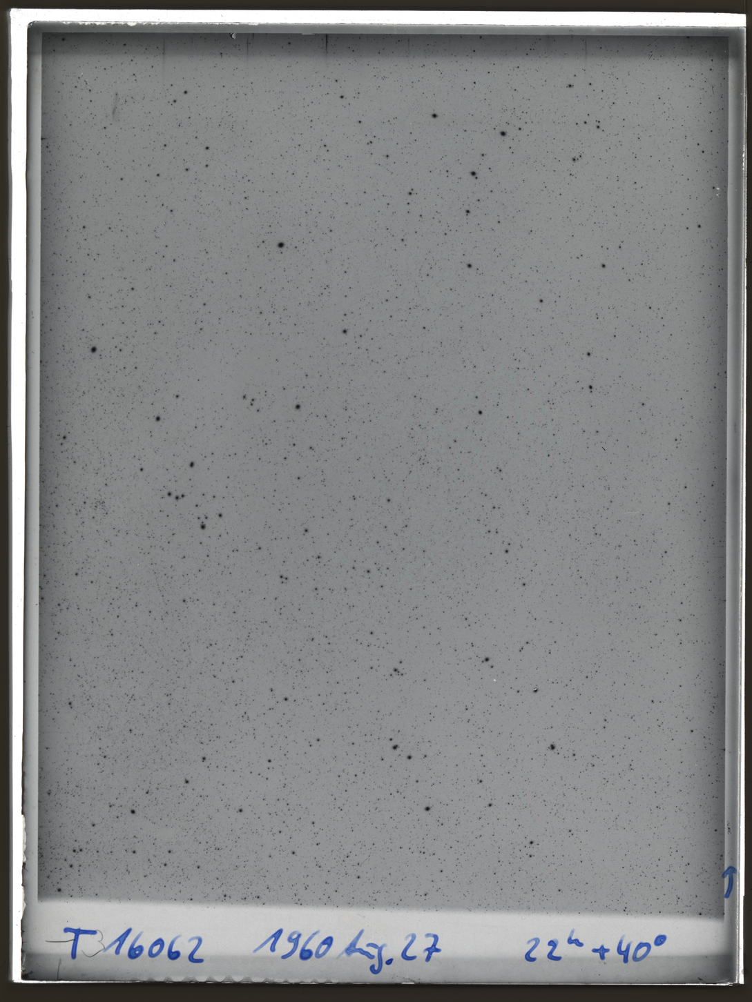 Plate preview