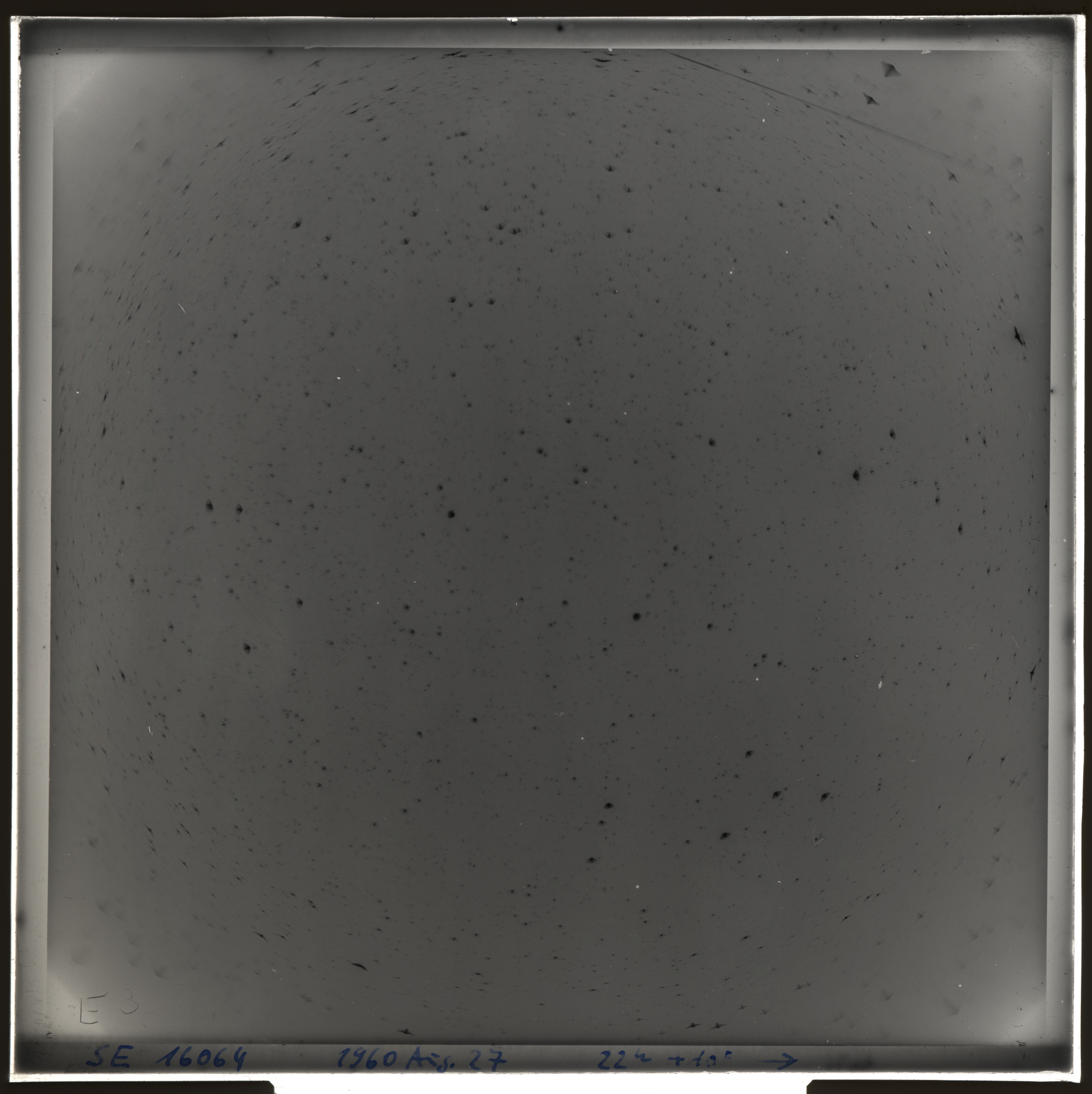 Plate preview