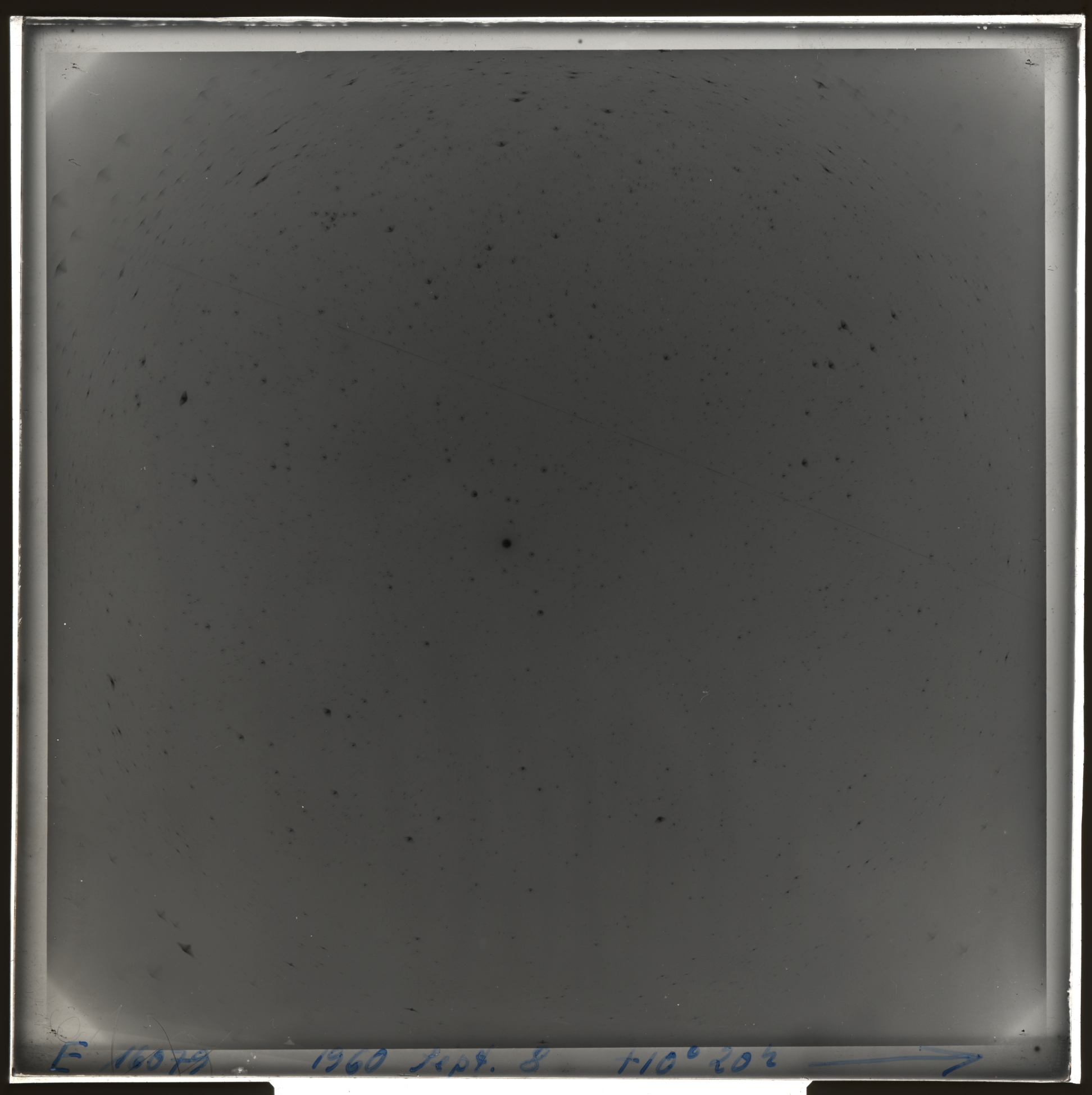 Plate preview