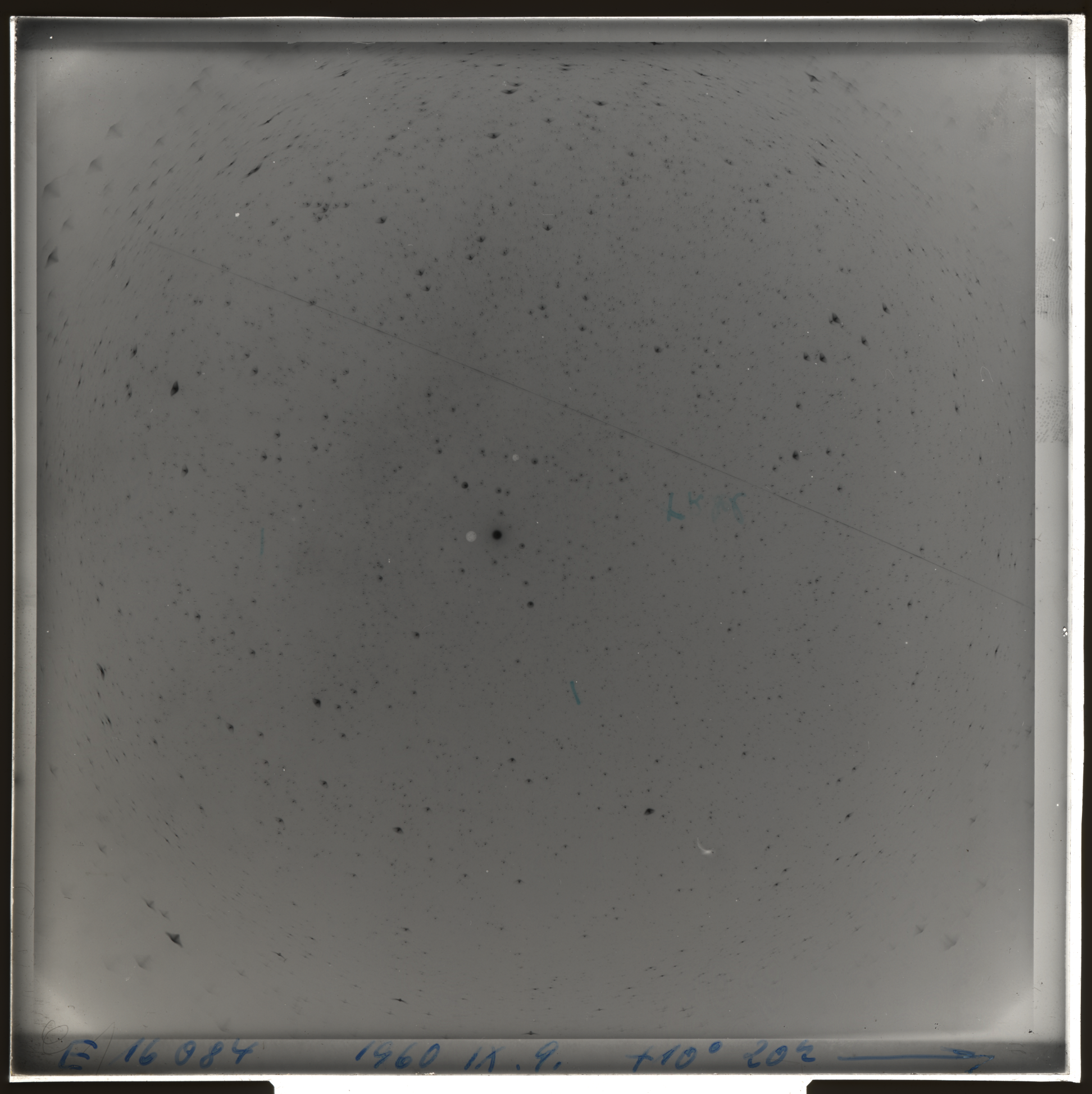Plate preview