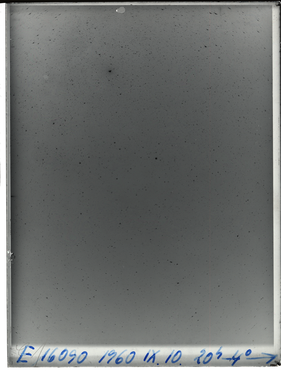 Plate preview