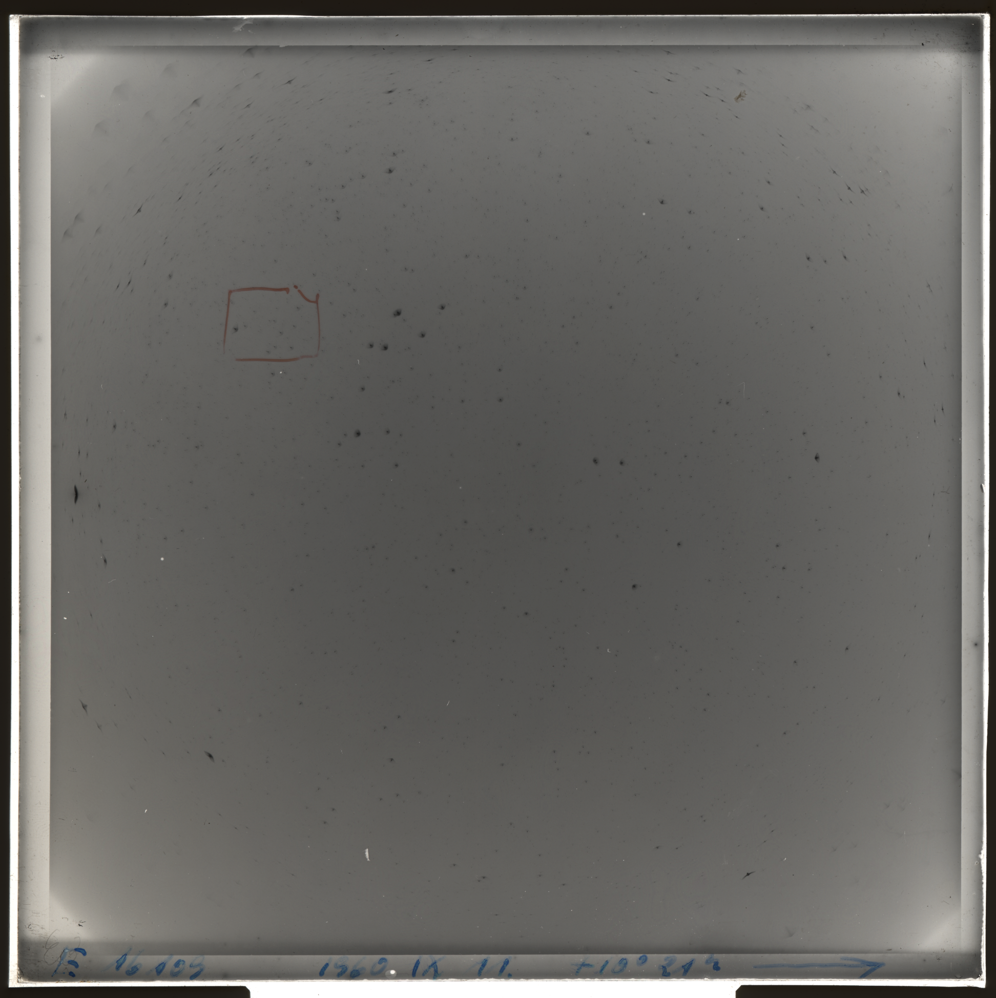 Plate preview