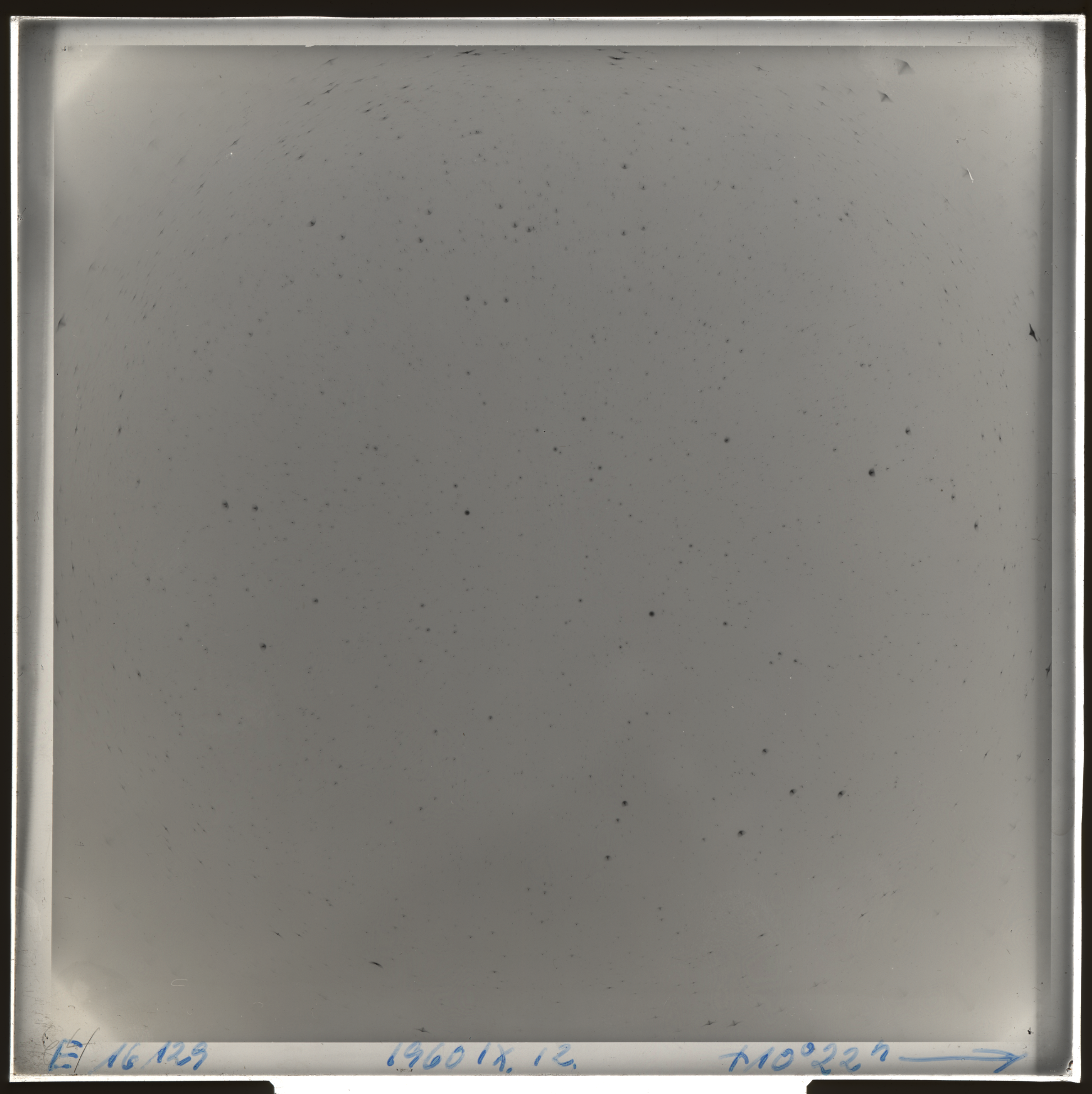 Plate preview