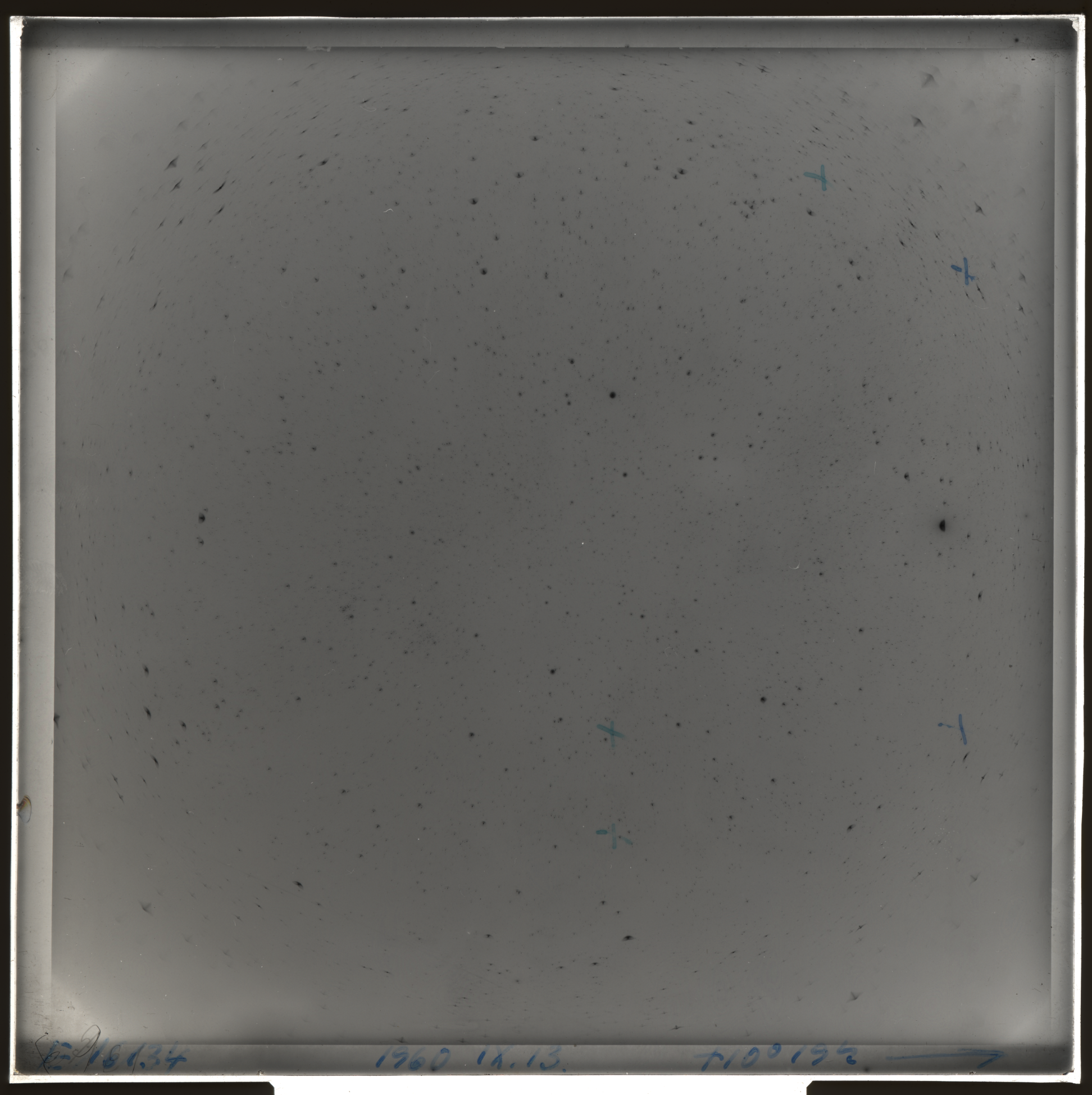 Plate preview
