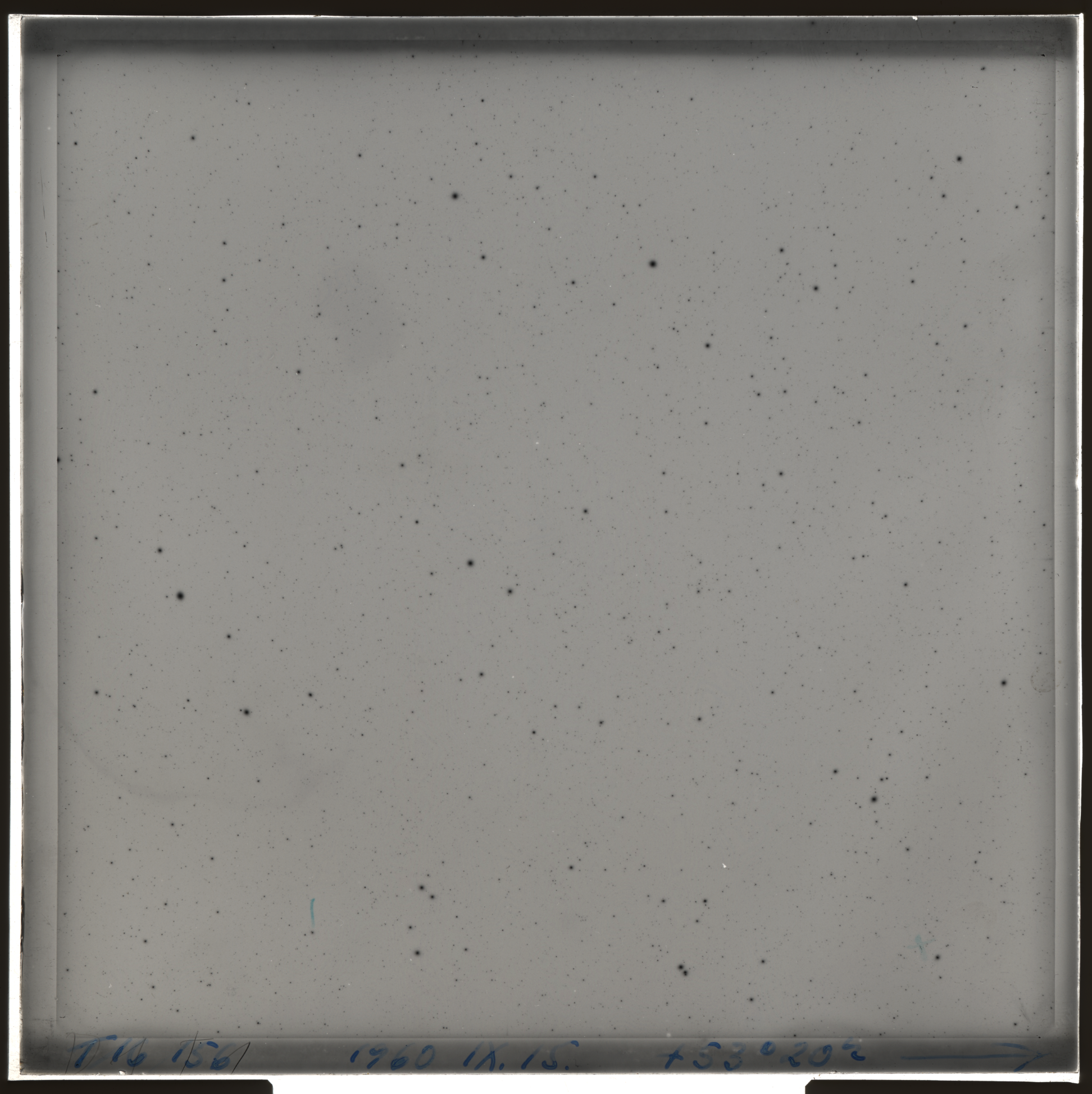Plate preview