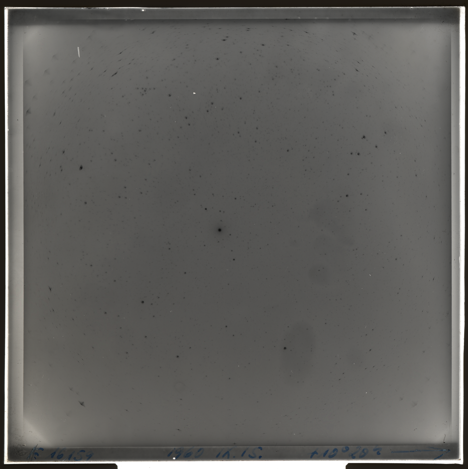 Plate preview