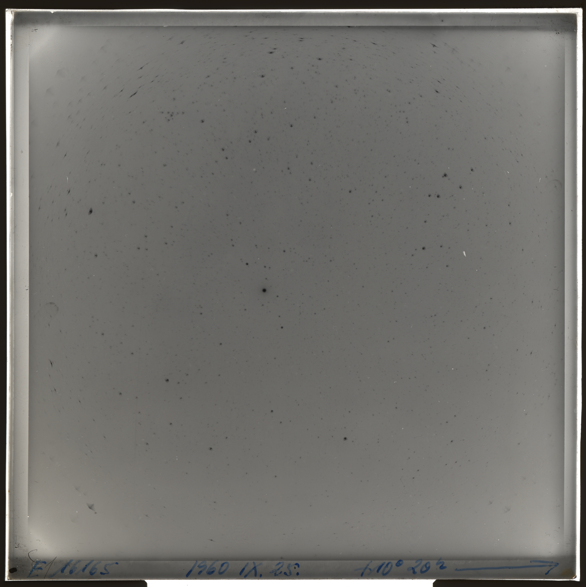 Plate preview