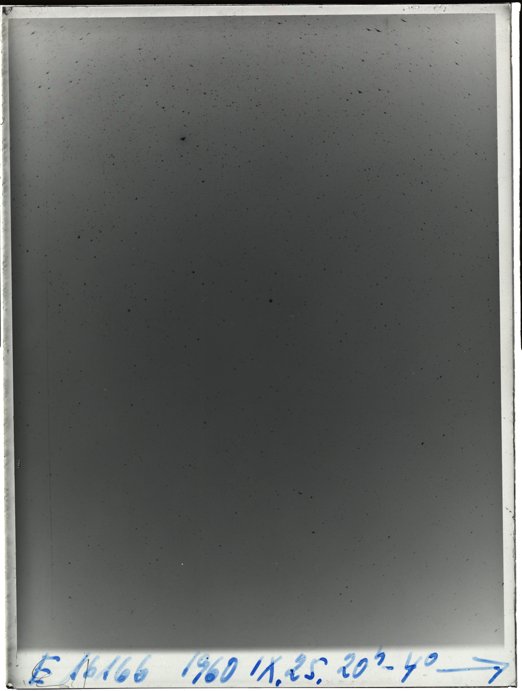 Plate preview