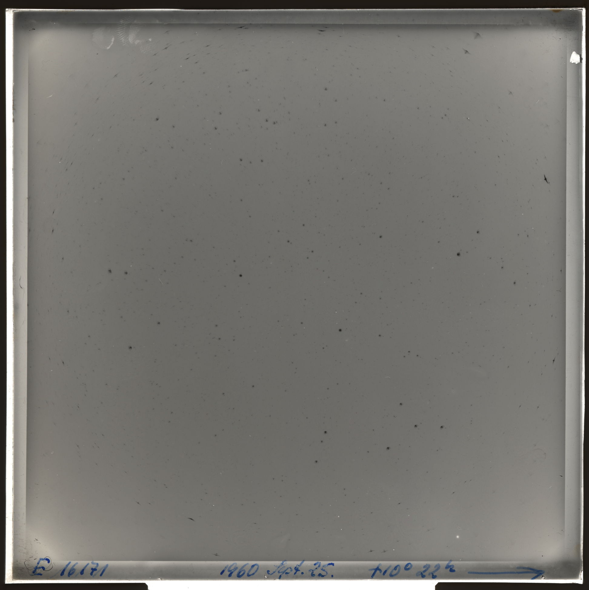 Plate preview