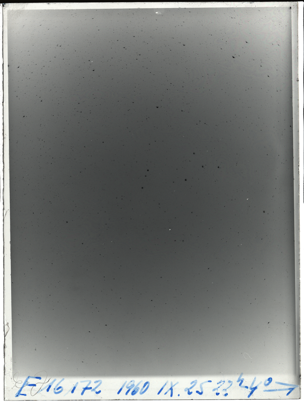 Plate preview