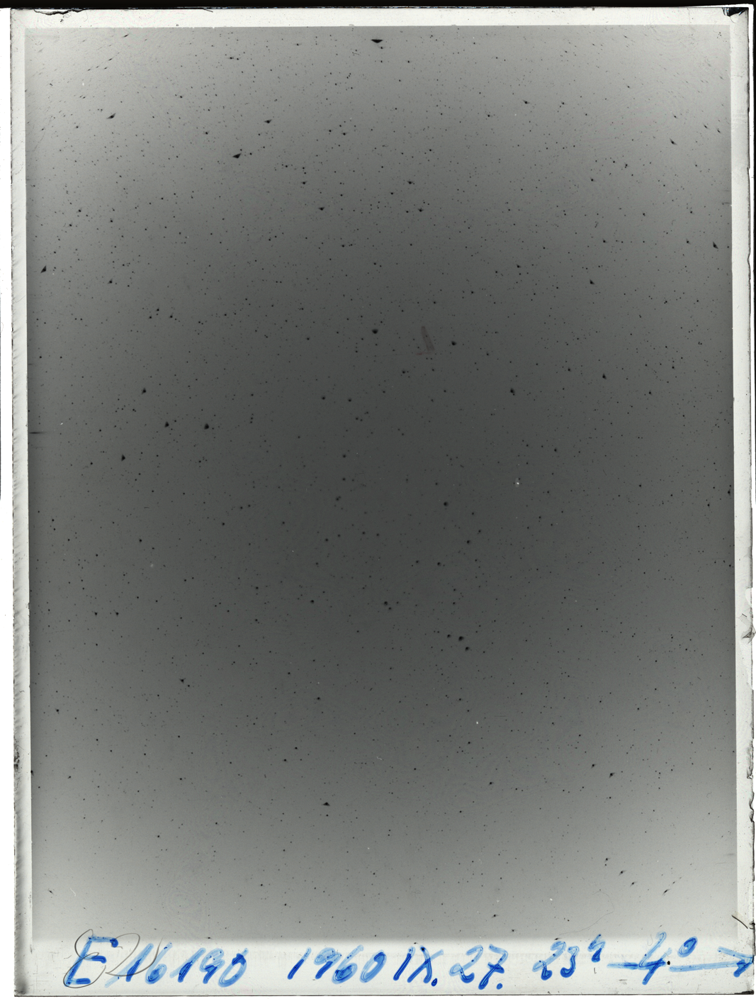Plate preview