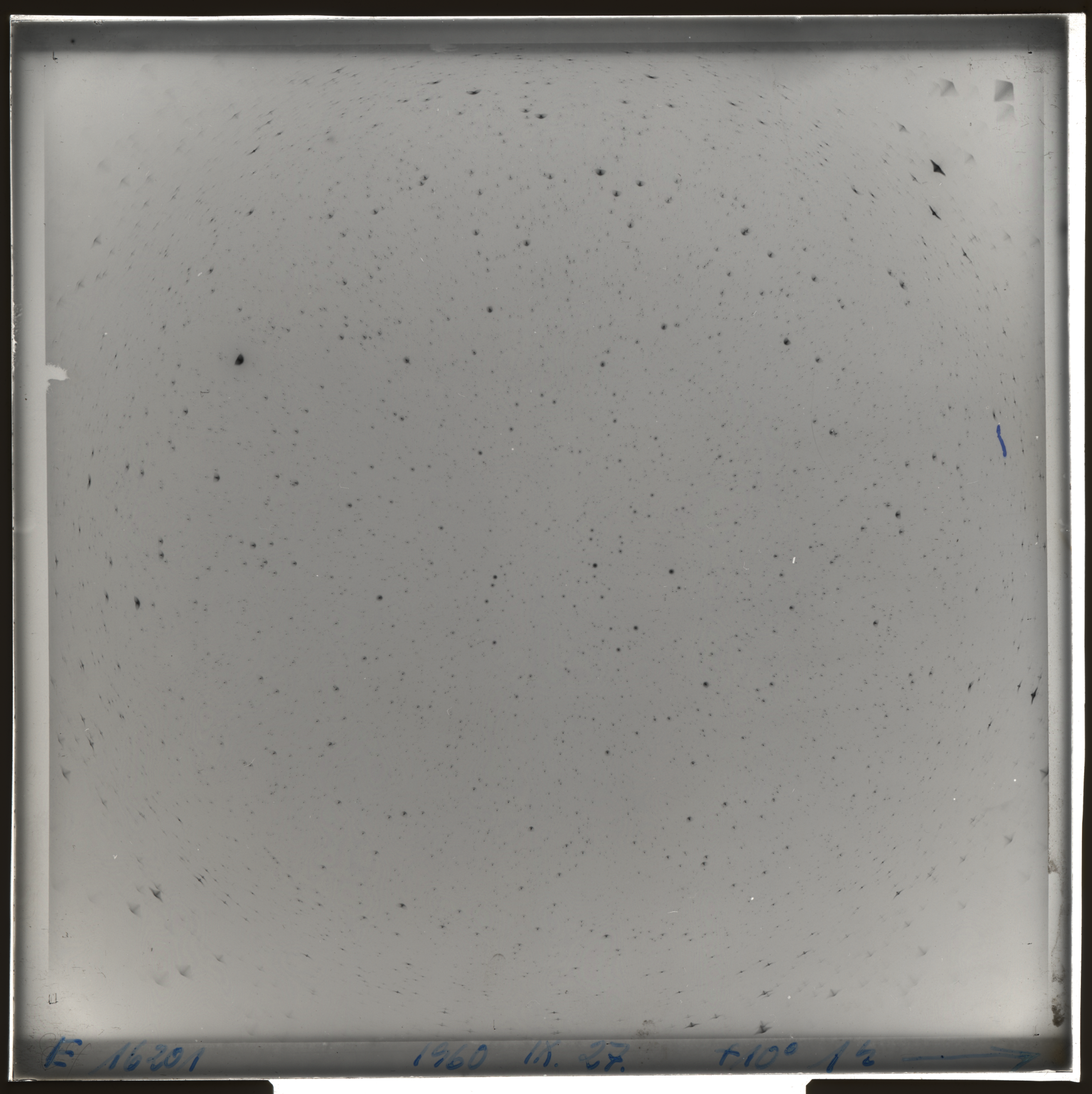 Plate preview
