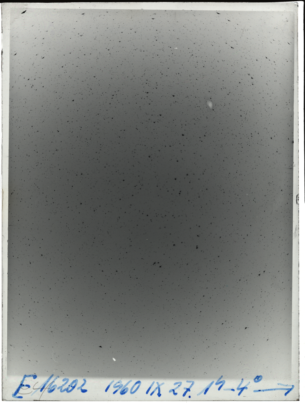 Plate preview