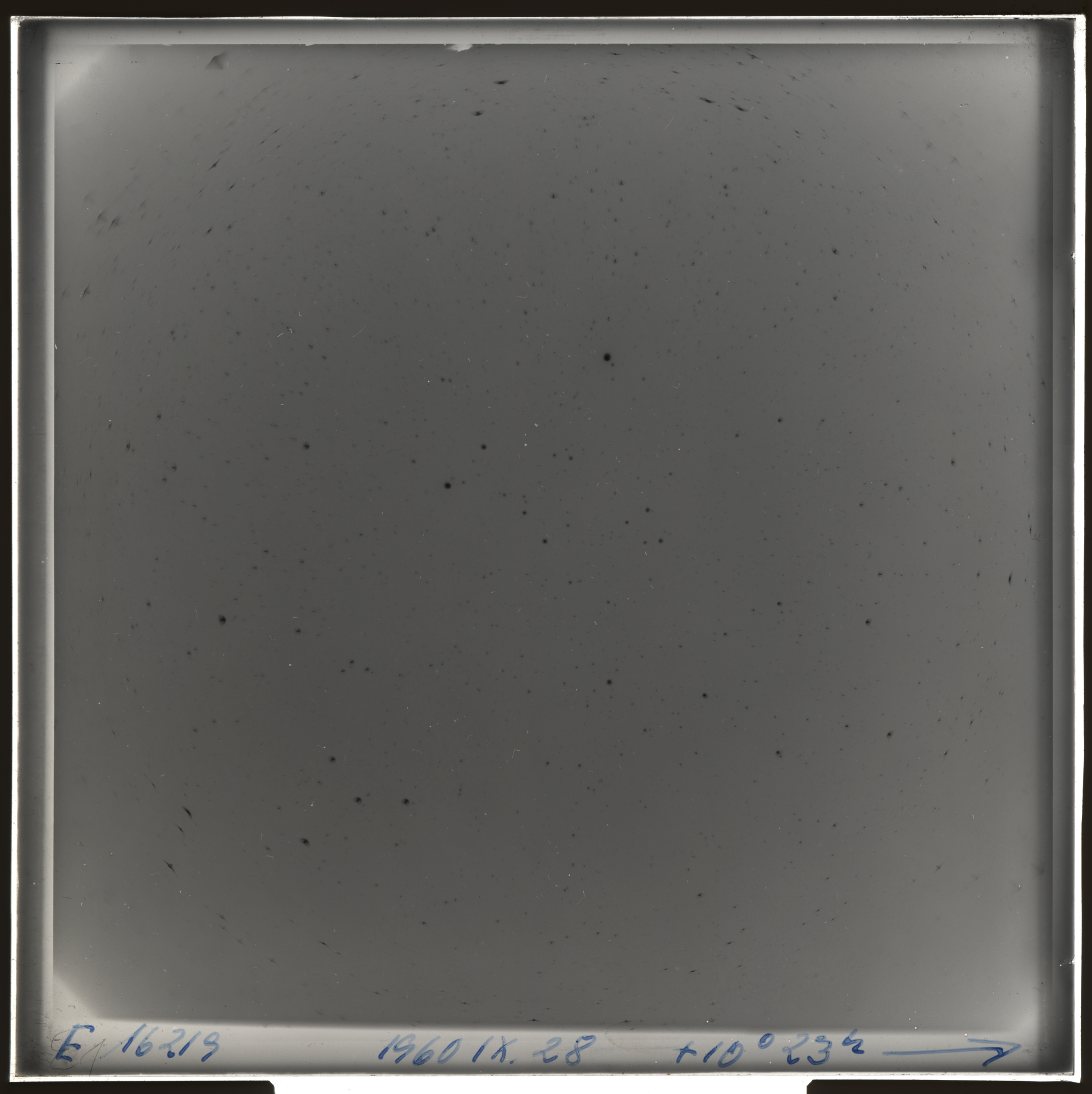 Plate preview