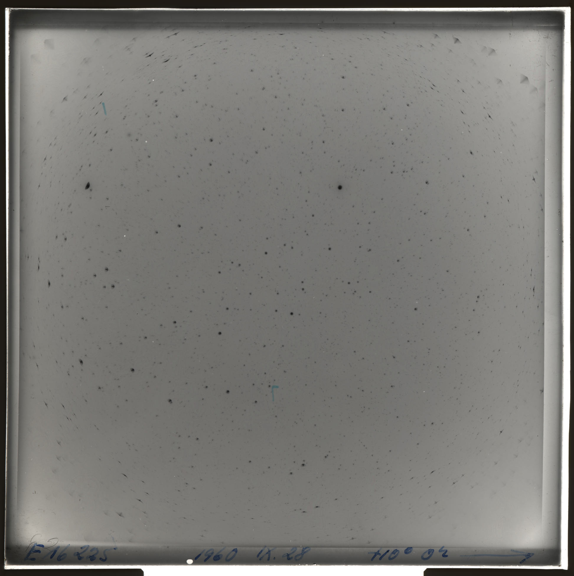 Plate preview