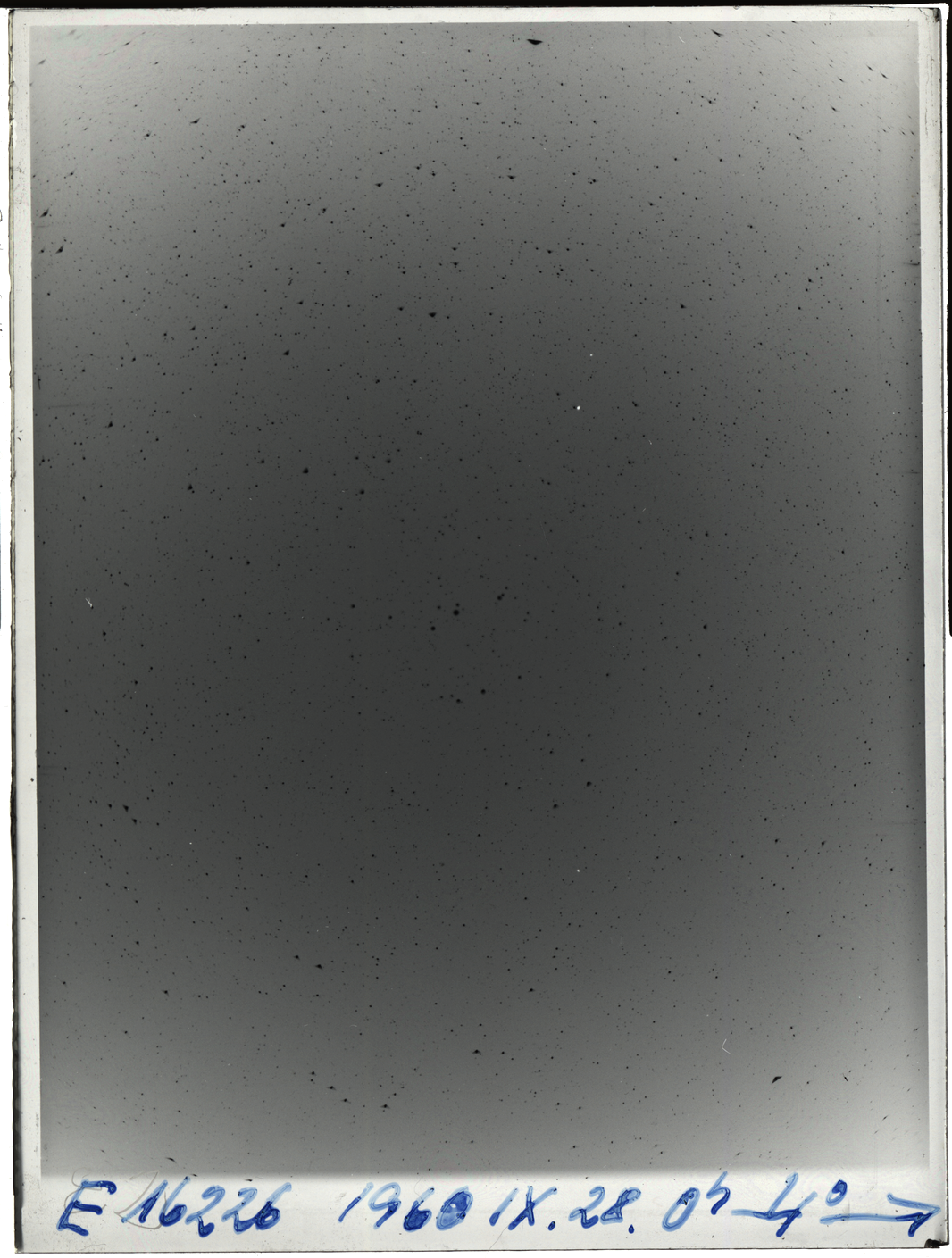 Plate preview