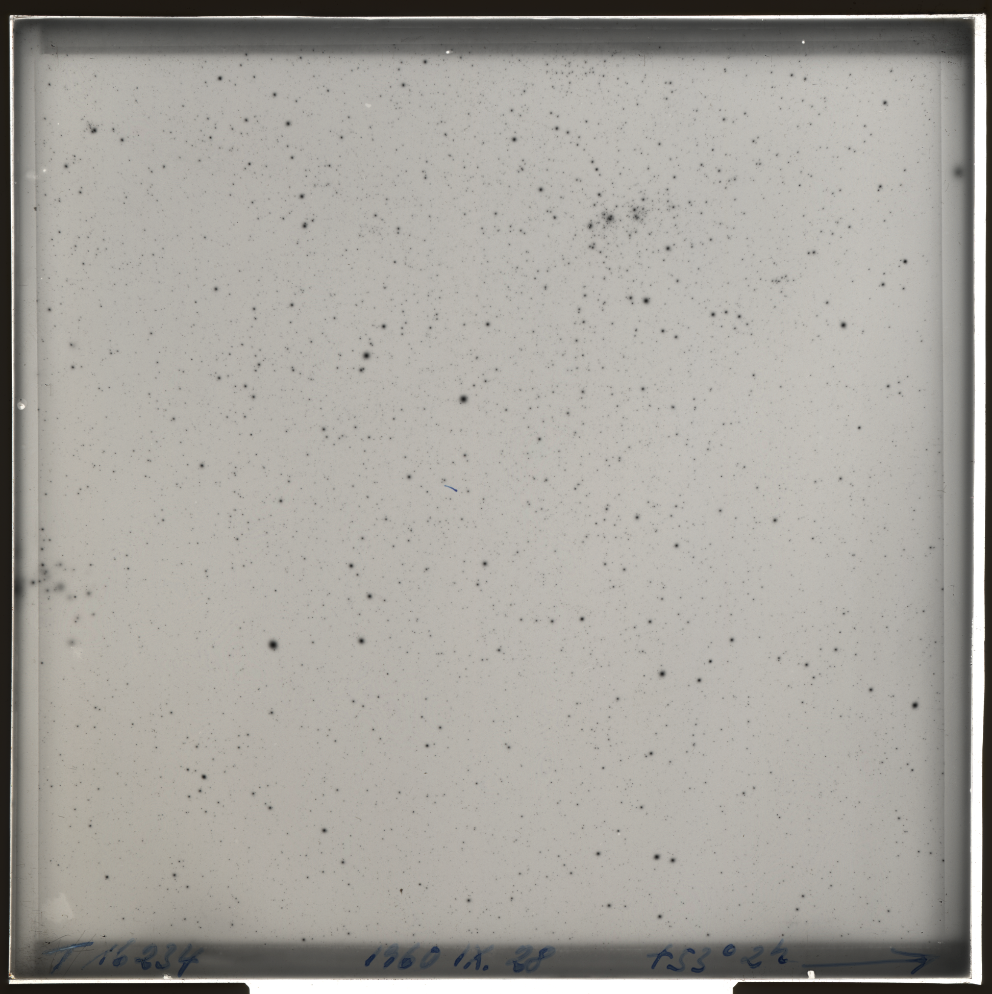 Plate preview
