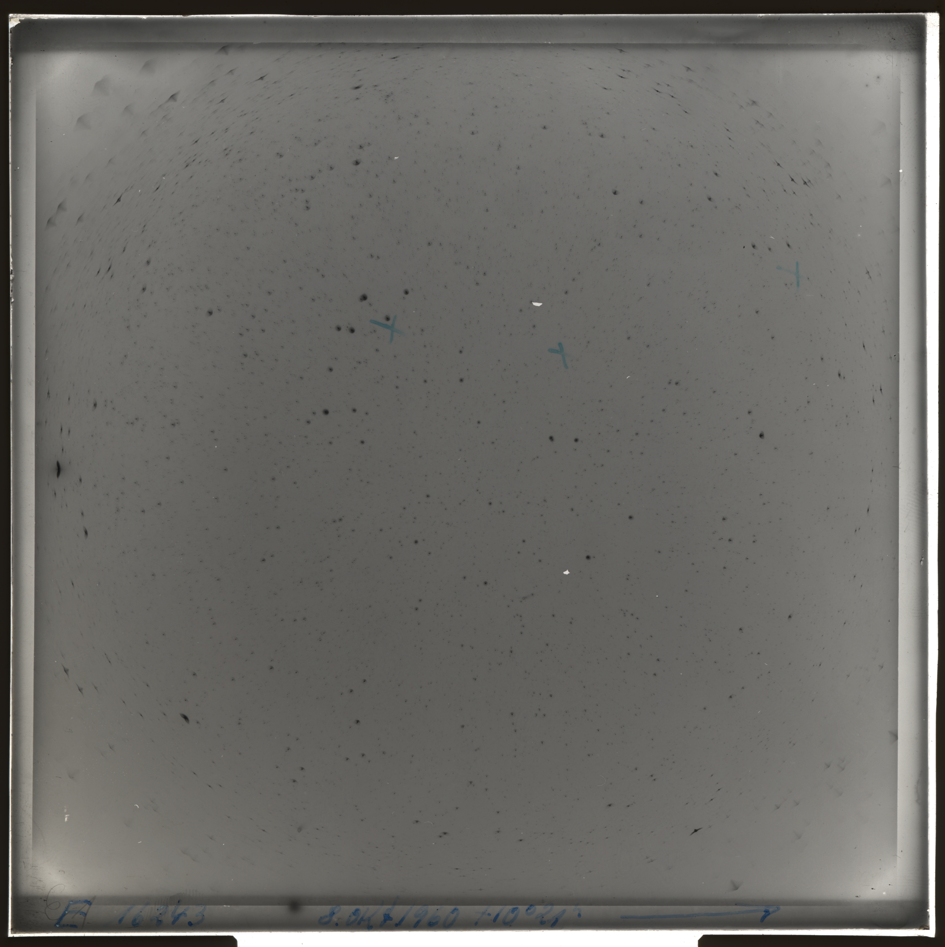 Plate preview