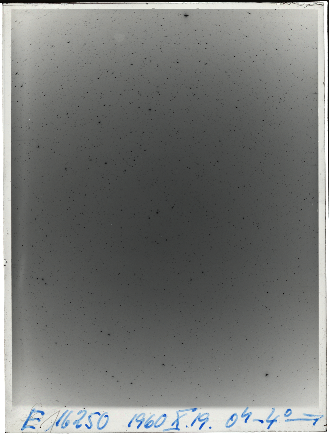 Plate preview
