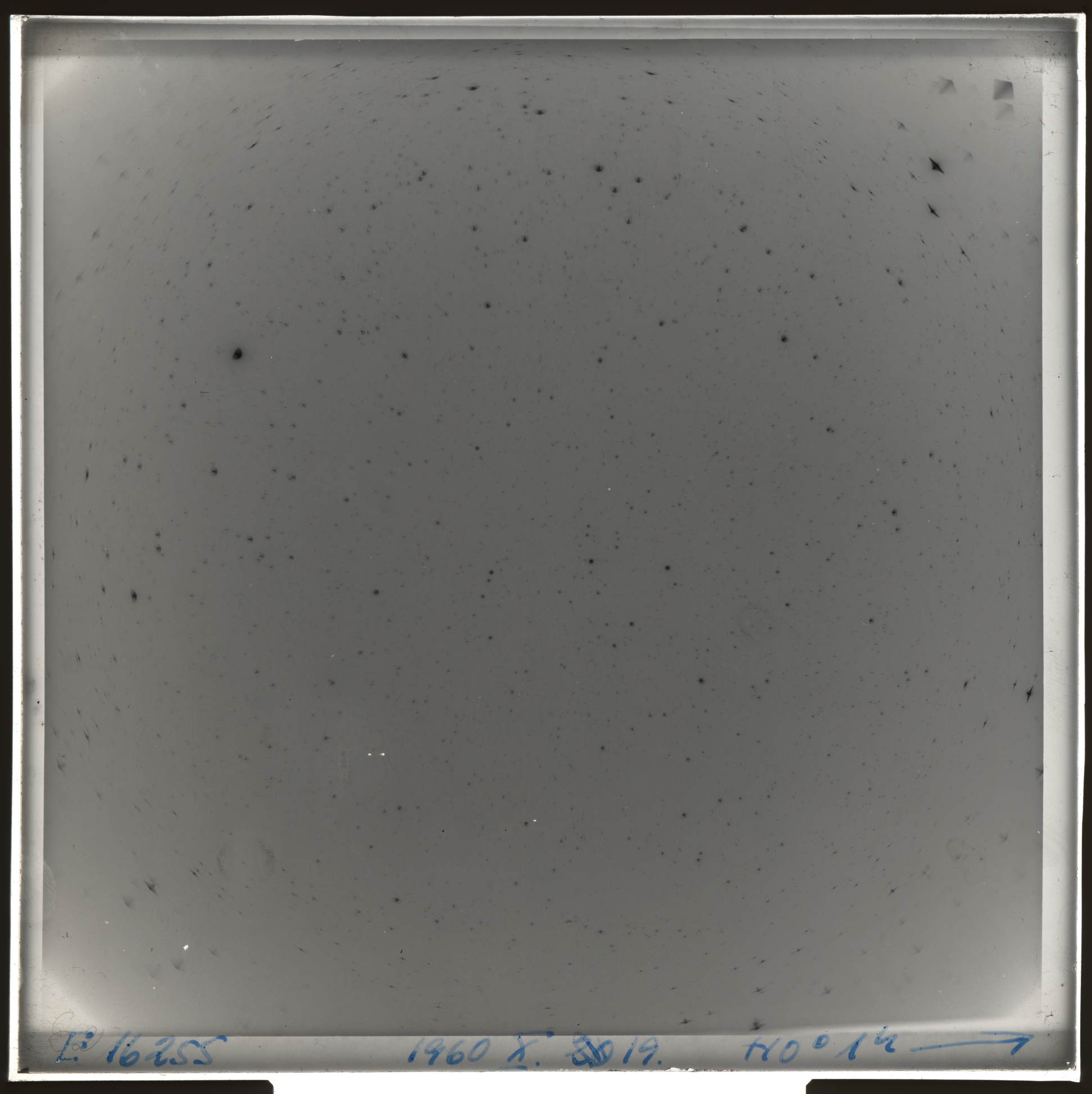 Plate preview