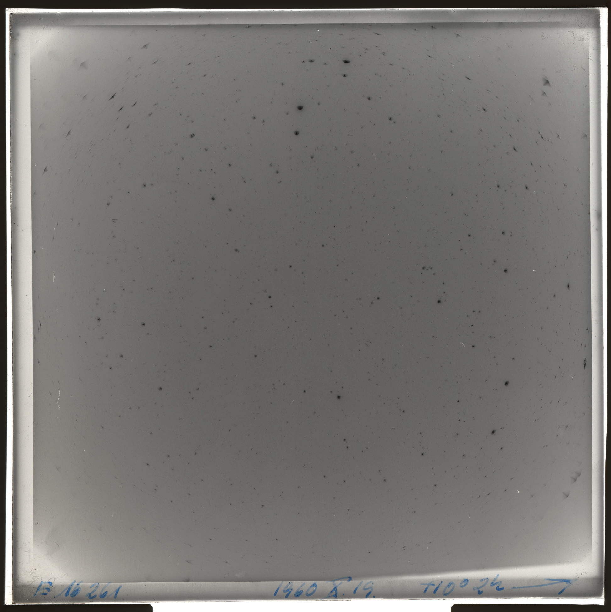 Plate preview