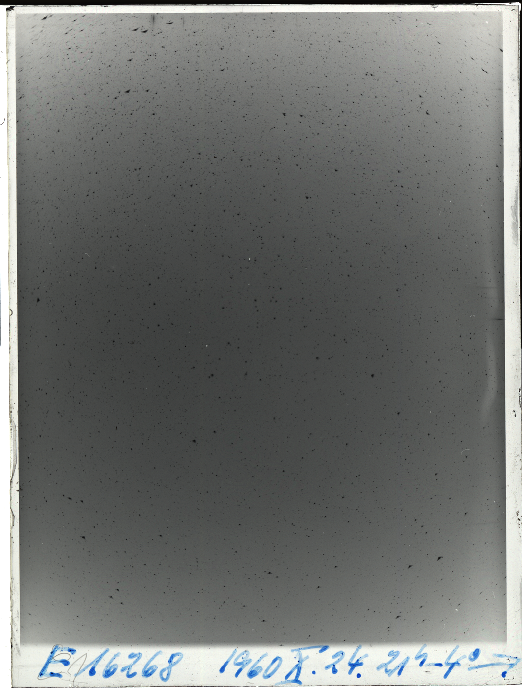 Plate preview