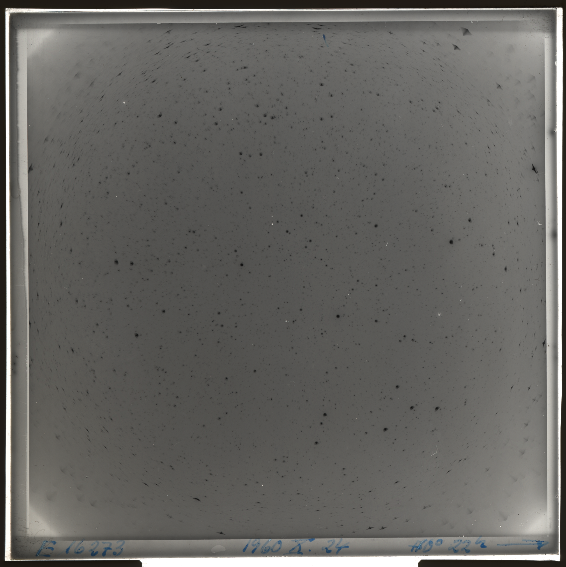 Plate preview