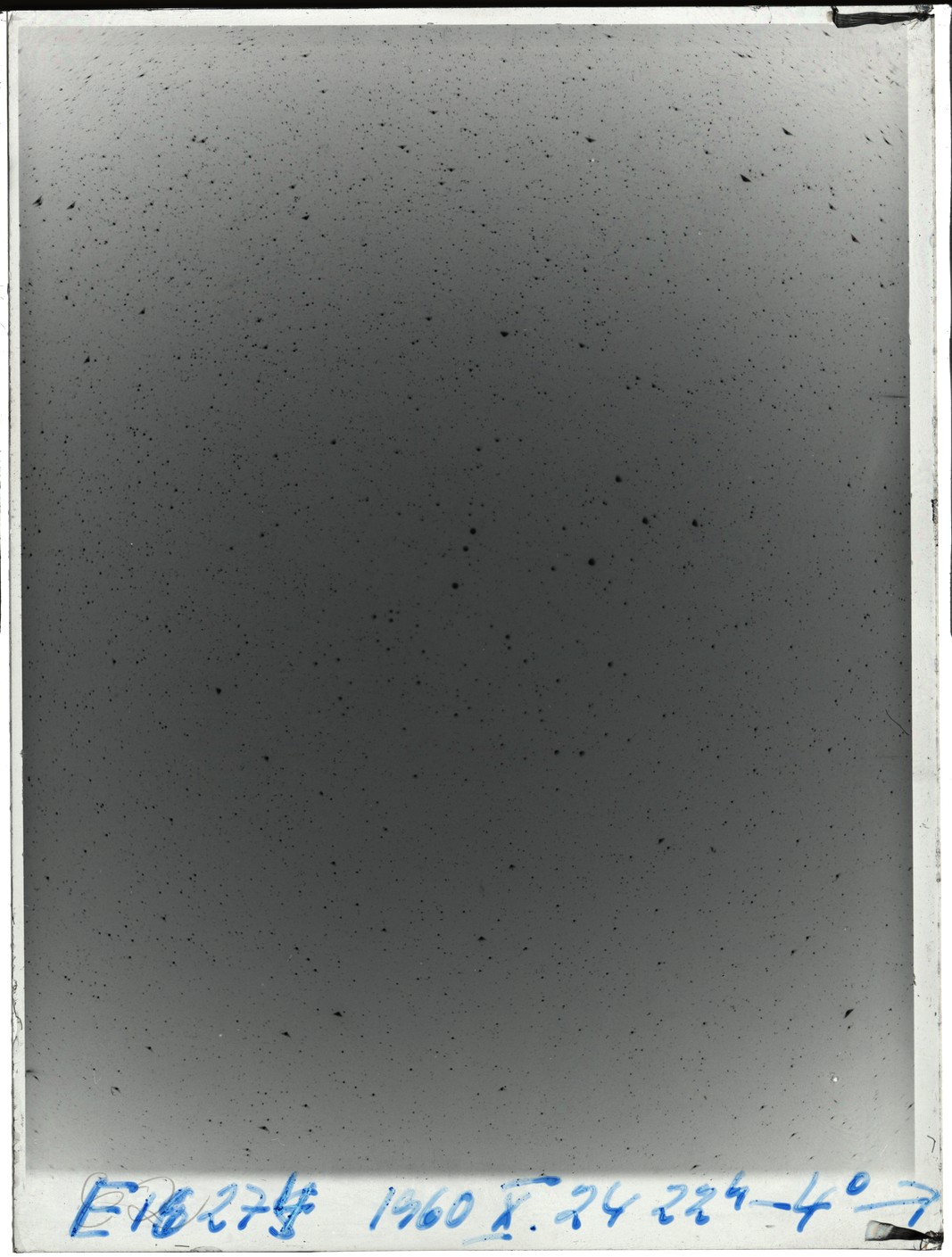 Plate preview
