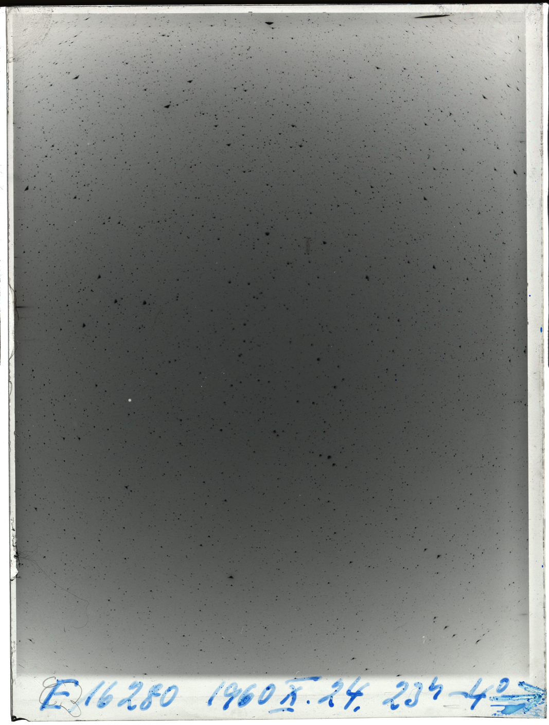 Plate preview