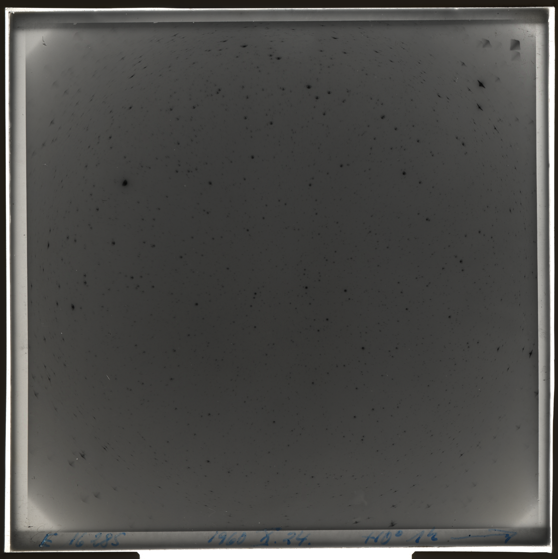 Plate preview