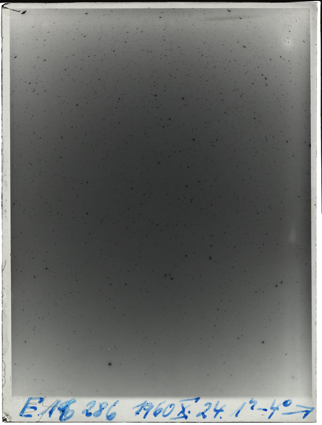 Plate preview
