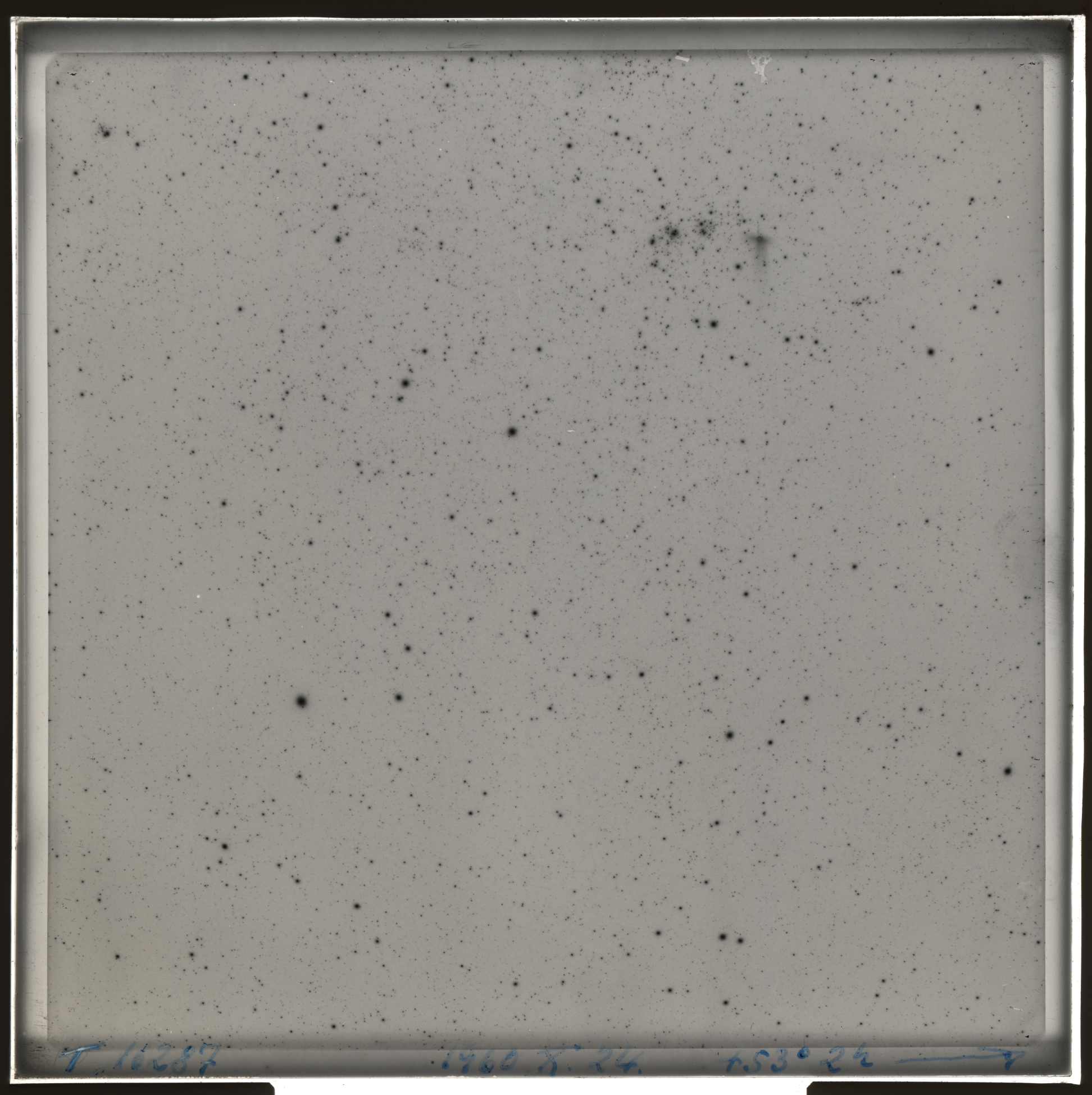 Plate preview